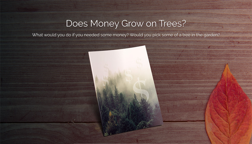 Money-tree.jpg