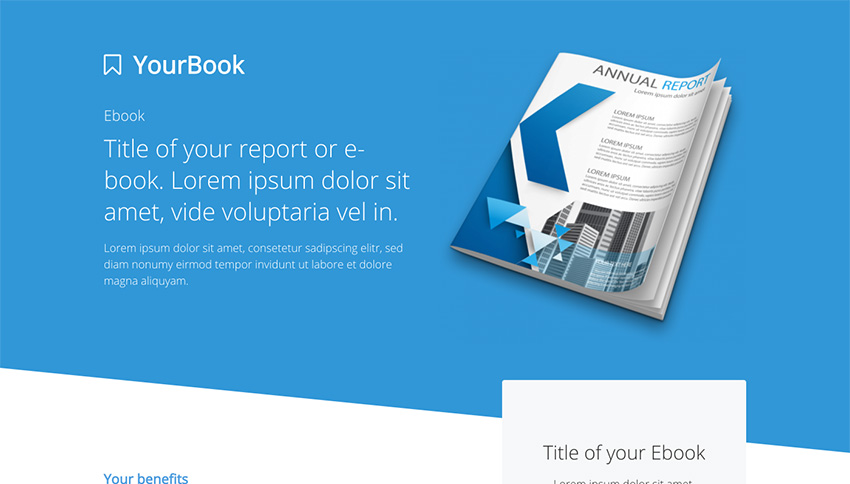 Your-book-report.jpg